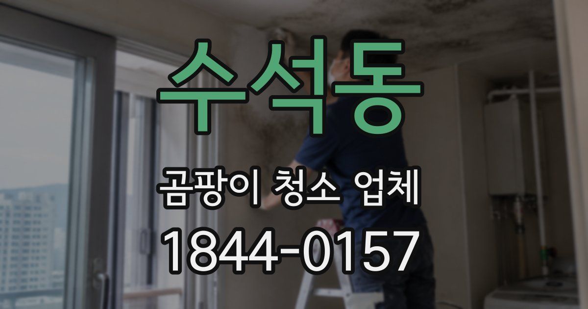 수석동 곰팡이 청소 업체