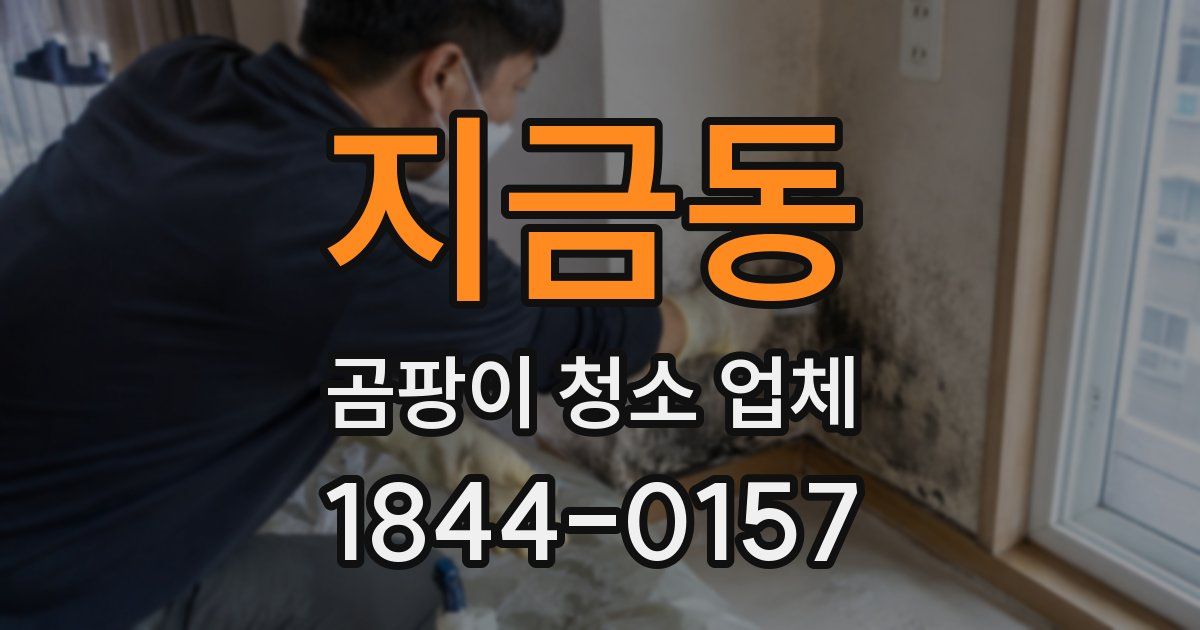 지금동 곰팡이 청소 업체