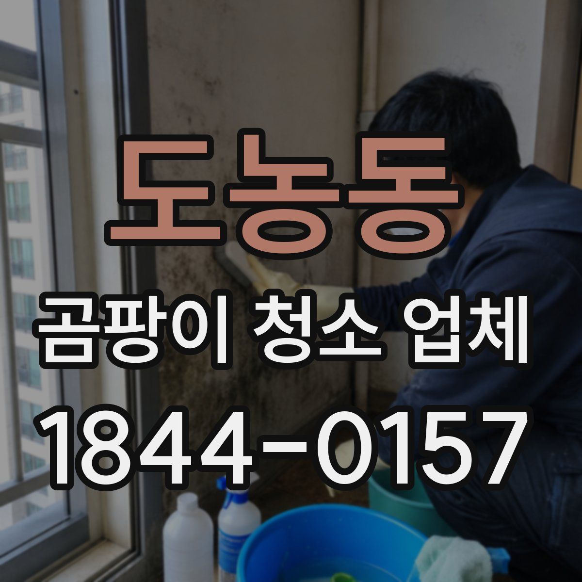 도농동 곰팡이 청소 업체
