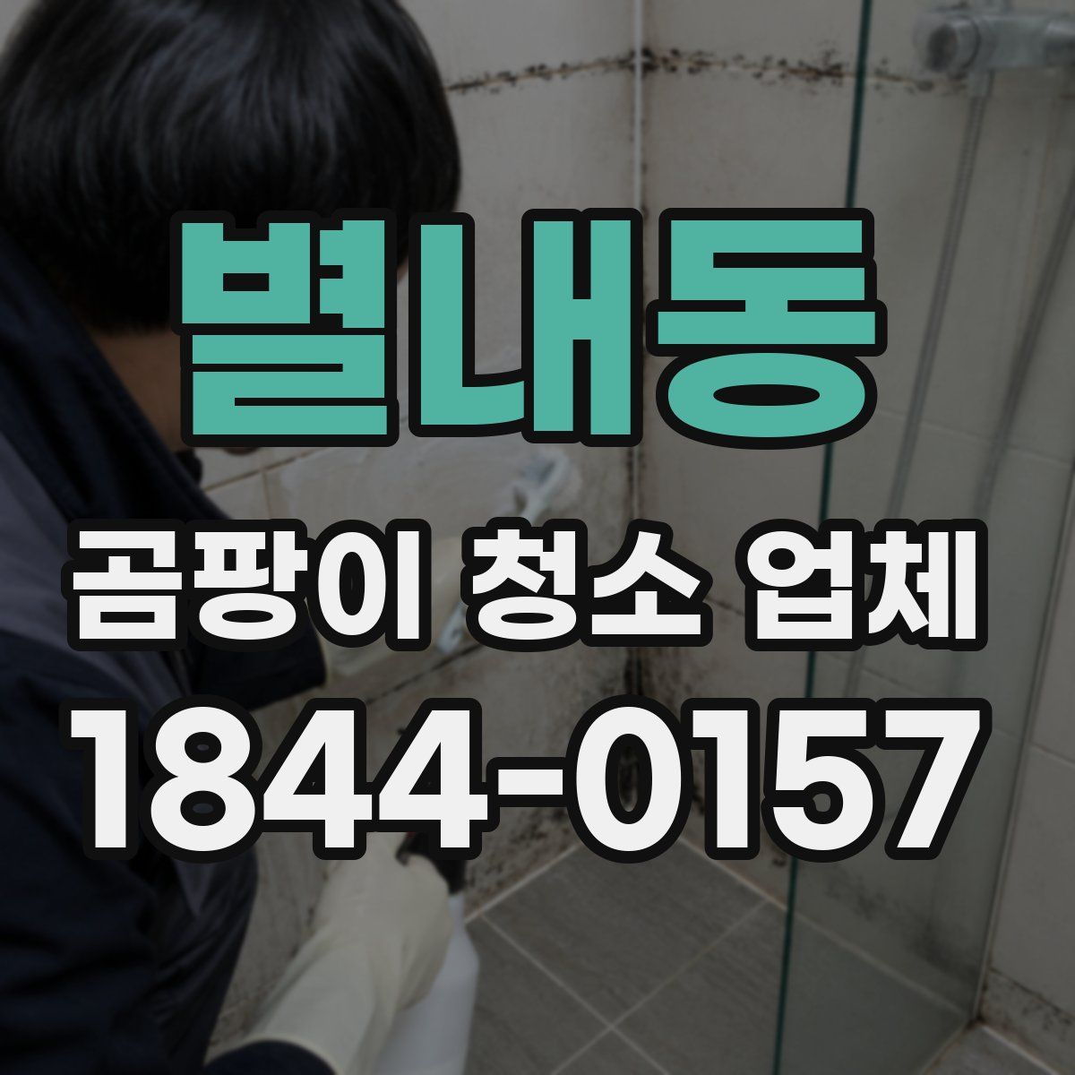 별내동 곰팡이 청소 업체
