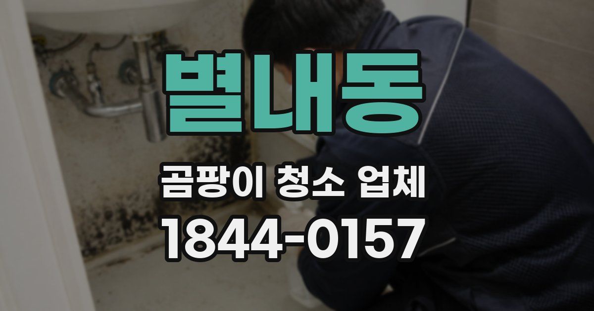 별내동 곰팡이 청소 업체