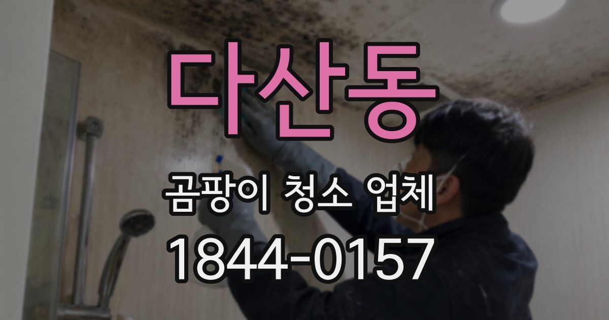 다산동 곰팡이 청소 업체