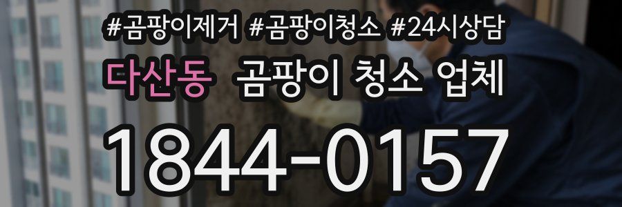 다산동 곰팡이 청소 업체