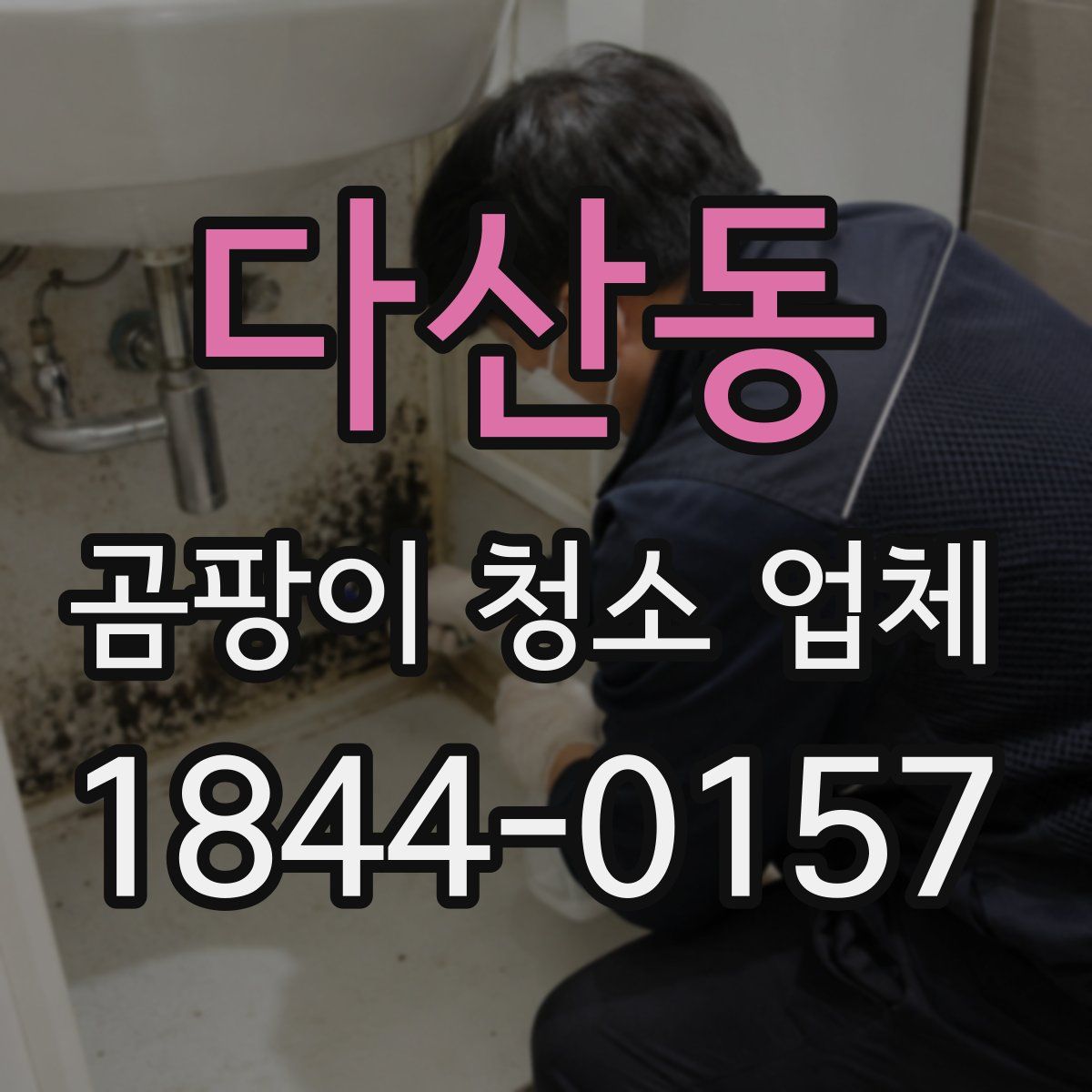 다산동 곰팡이 청소 업체