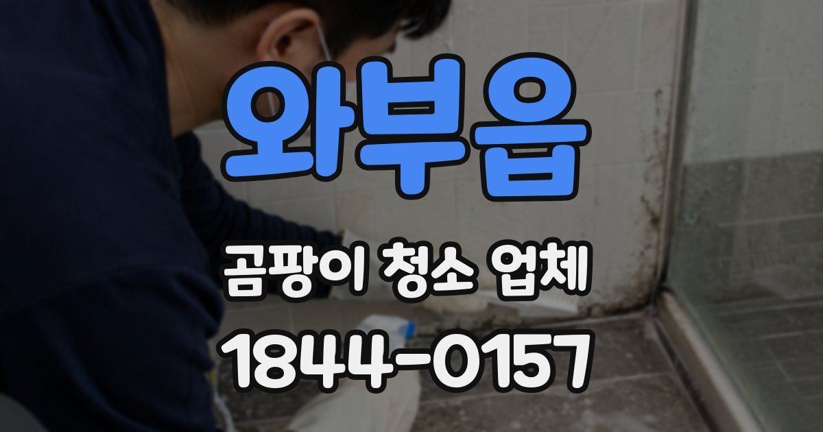 와부읍 곰팡이 청소 업체
