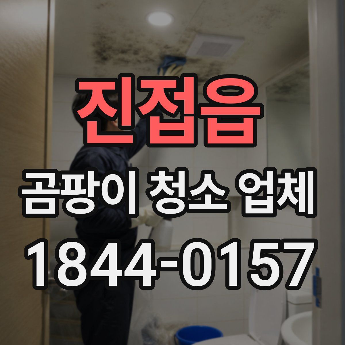 진접읍 곰팡이 청소 업체