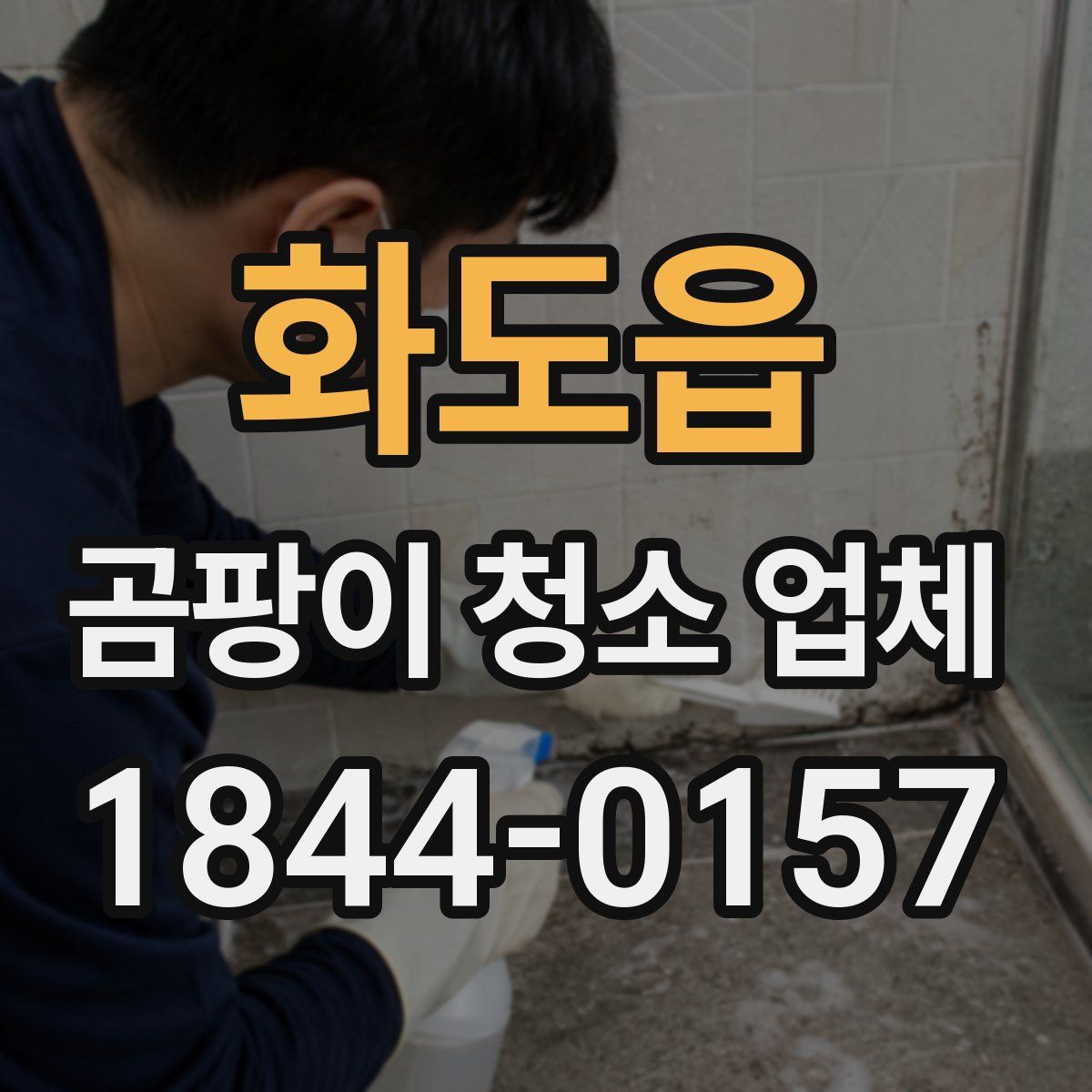 화도읍 곰팡이 청소 업체