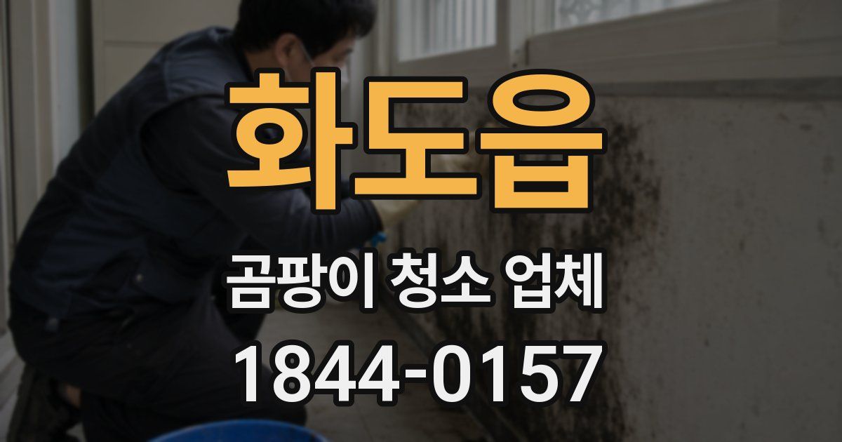 화도읍 곰팡이 청소 업체
