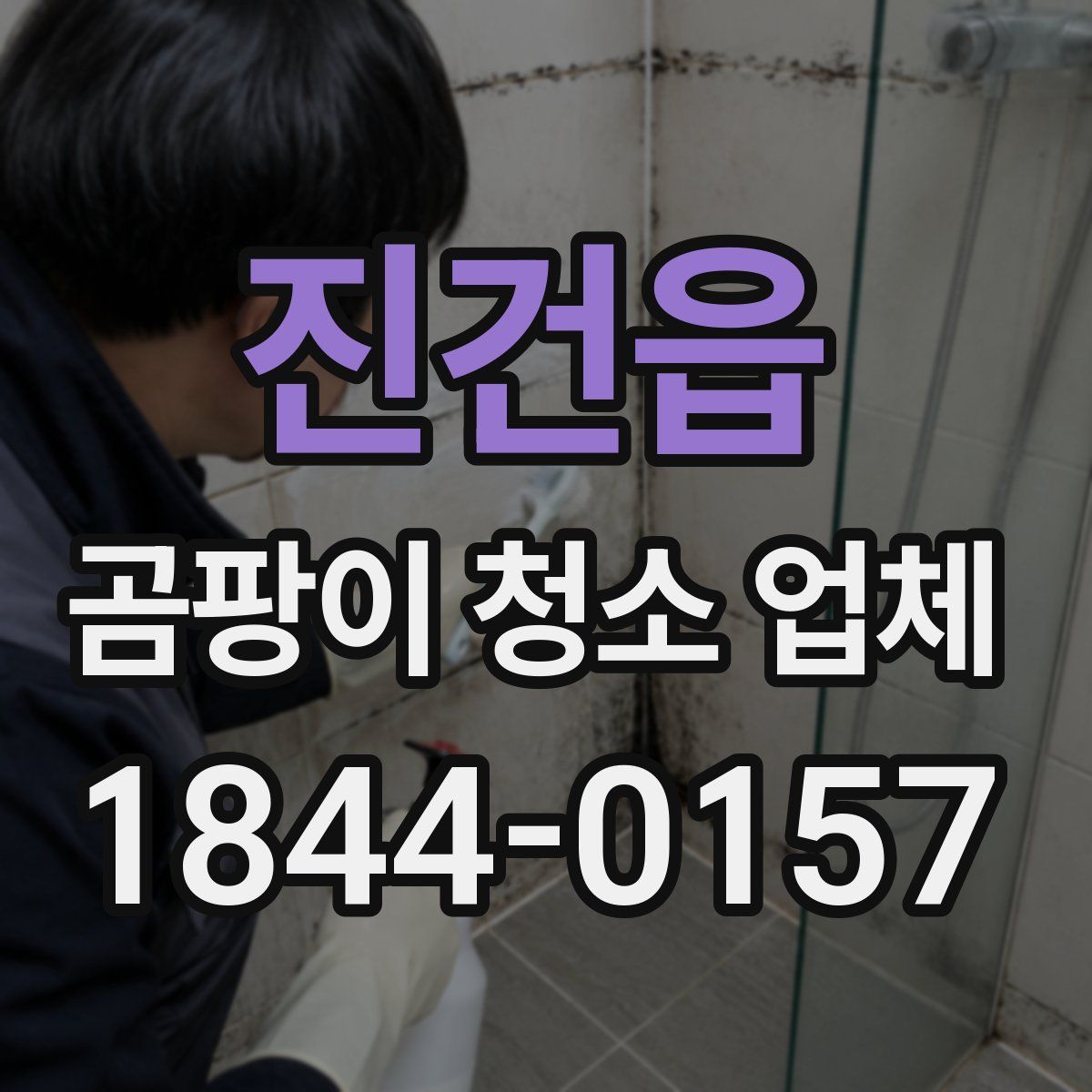 진건읍 곰팡이 청소 업체