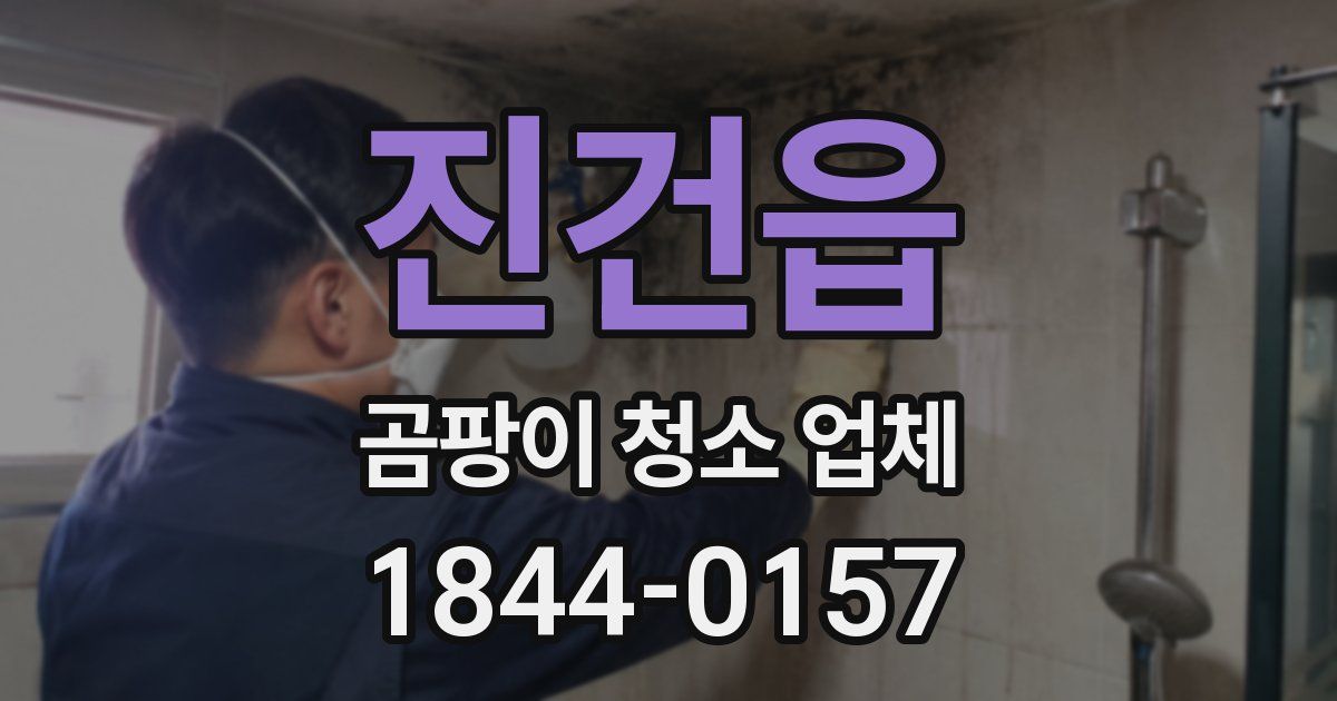 진건읍 곰팡이 청소 업체