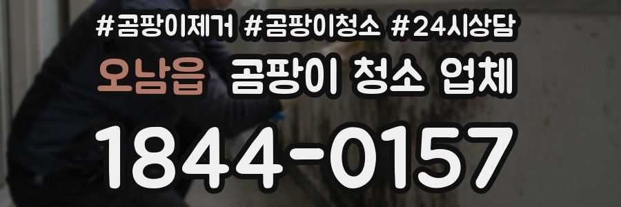 오남읍 곰팡이 청소 업체