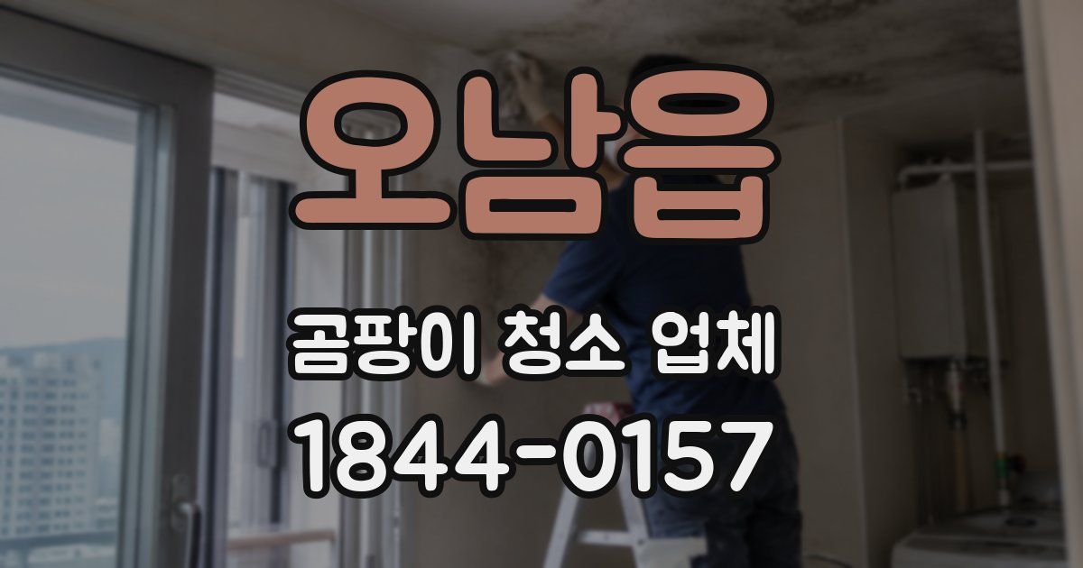 오남읍 곰팡이 청소 업체