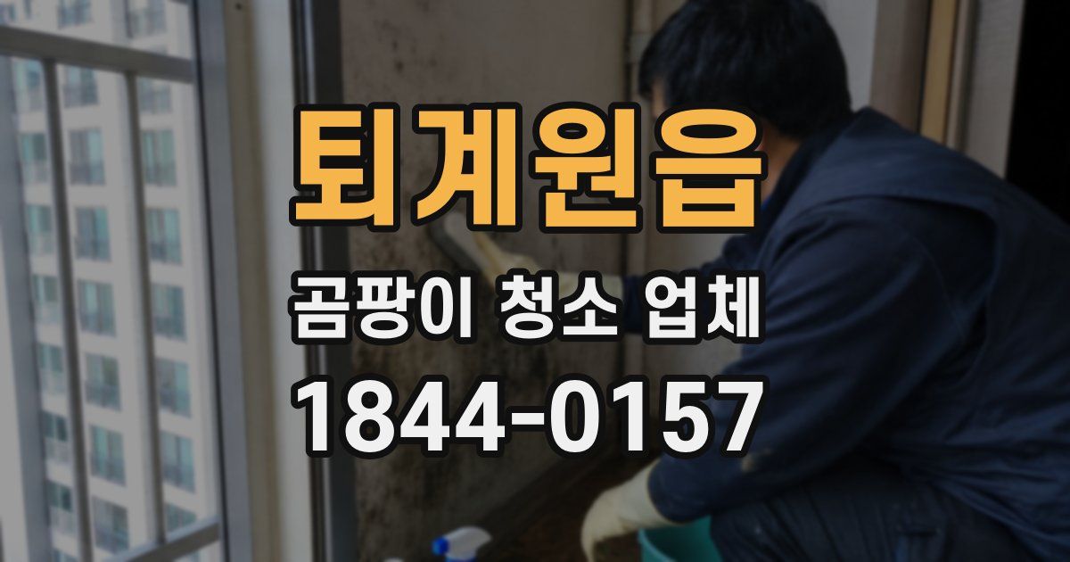 퇴계원읍 곰팡이 청소 업체