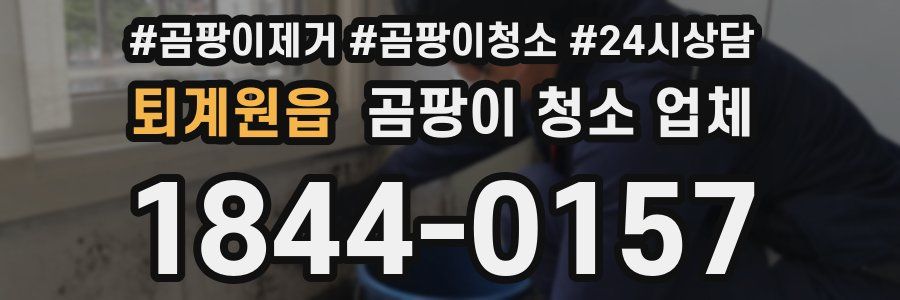 퇴계원읍 곰팡이 청소 업체