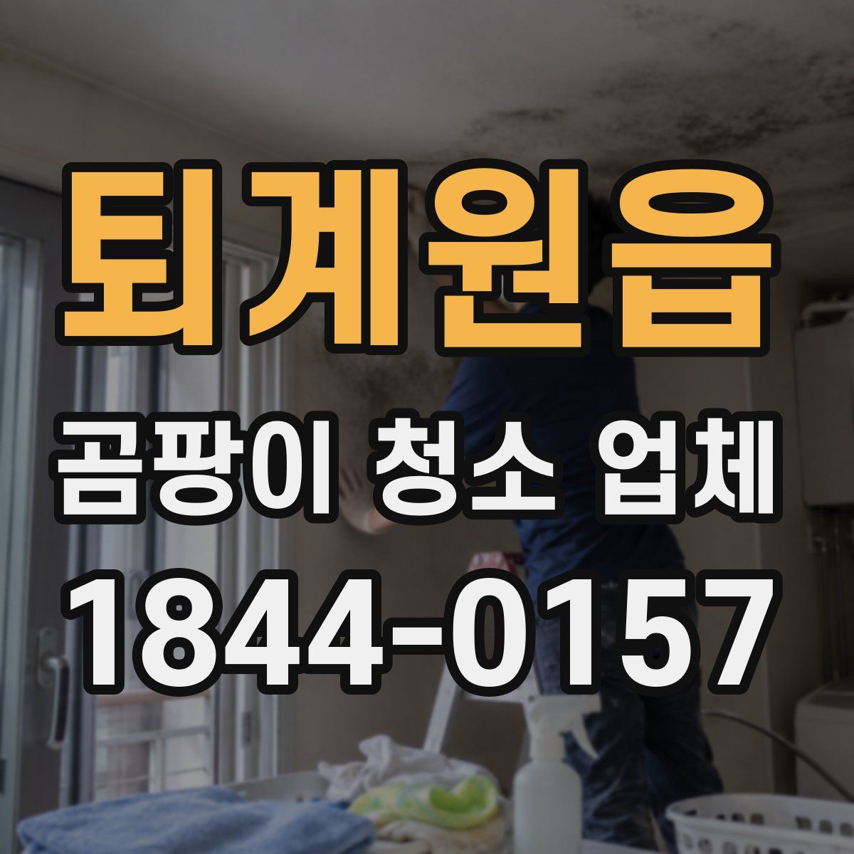 퇴계원읍 곰팡이 청소 업체