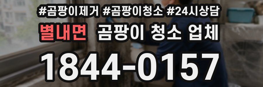 별내면 곰팡이 청소 업체