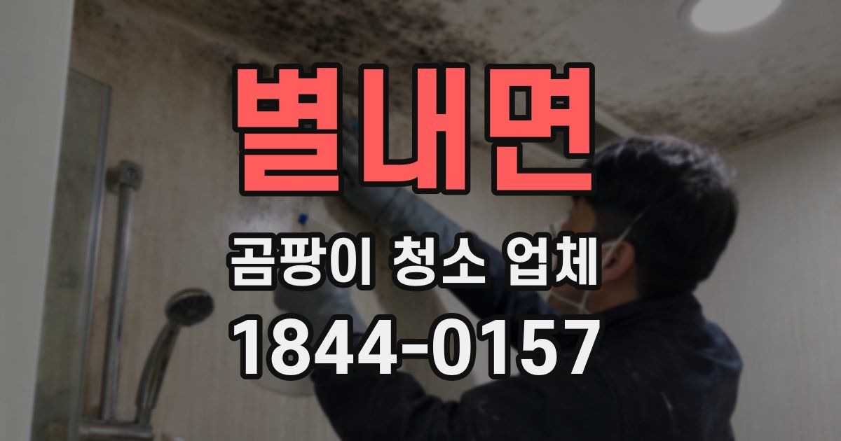 별내면 곰팡이 청소 업체