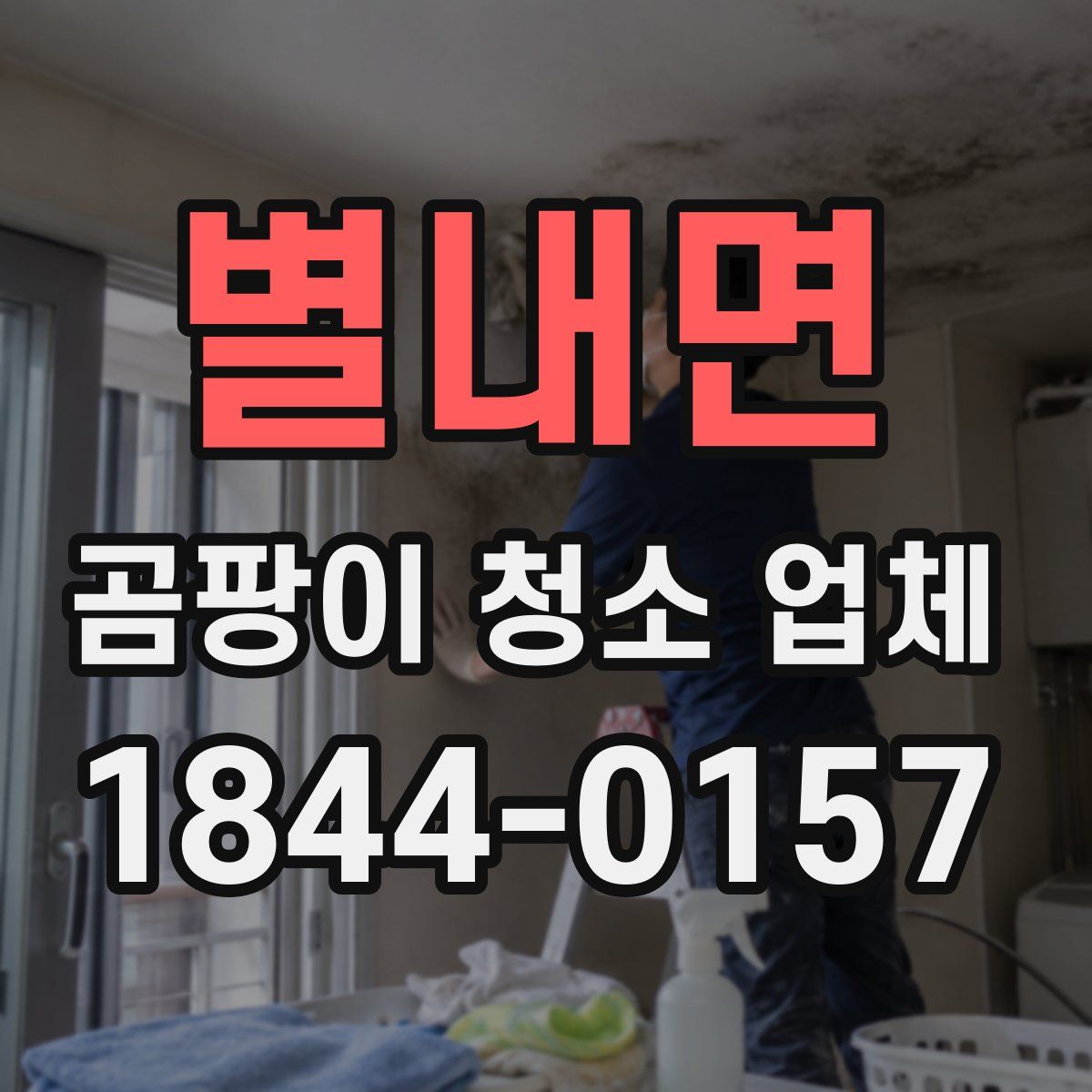 별내면 곰팡이 청소 업체