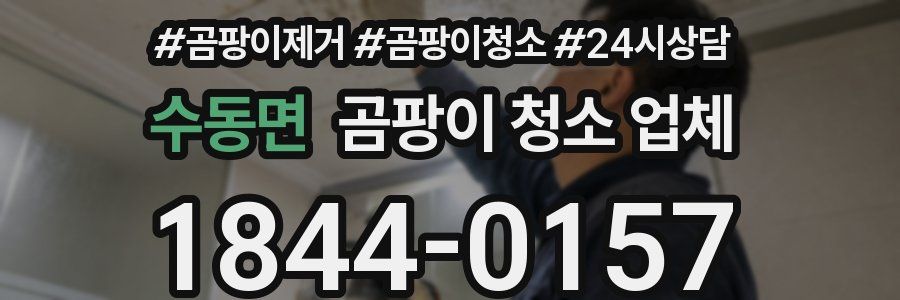 수동면 곰팡이 청소 업체