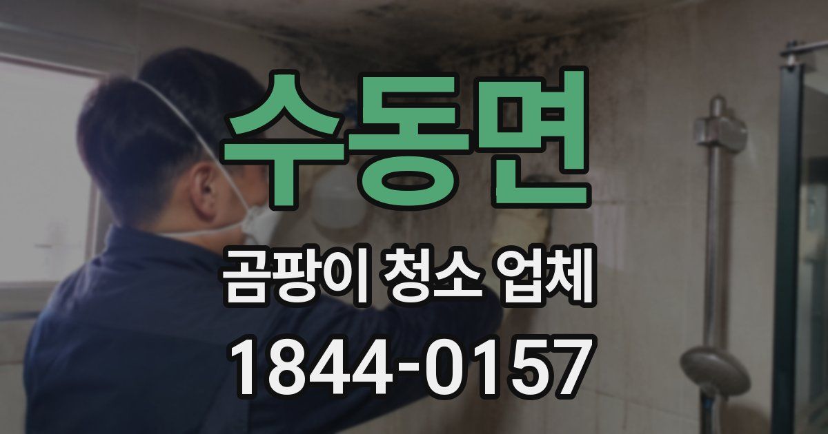수동면 곰팡이 청소 업체