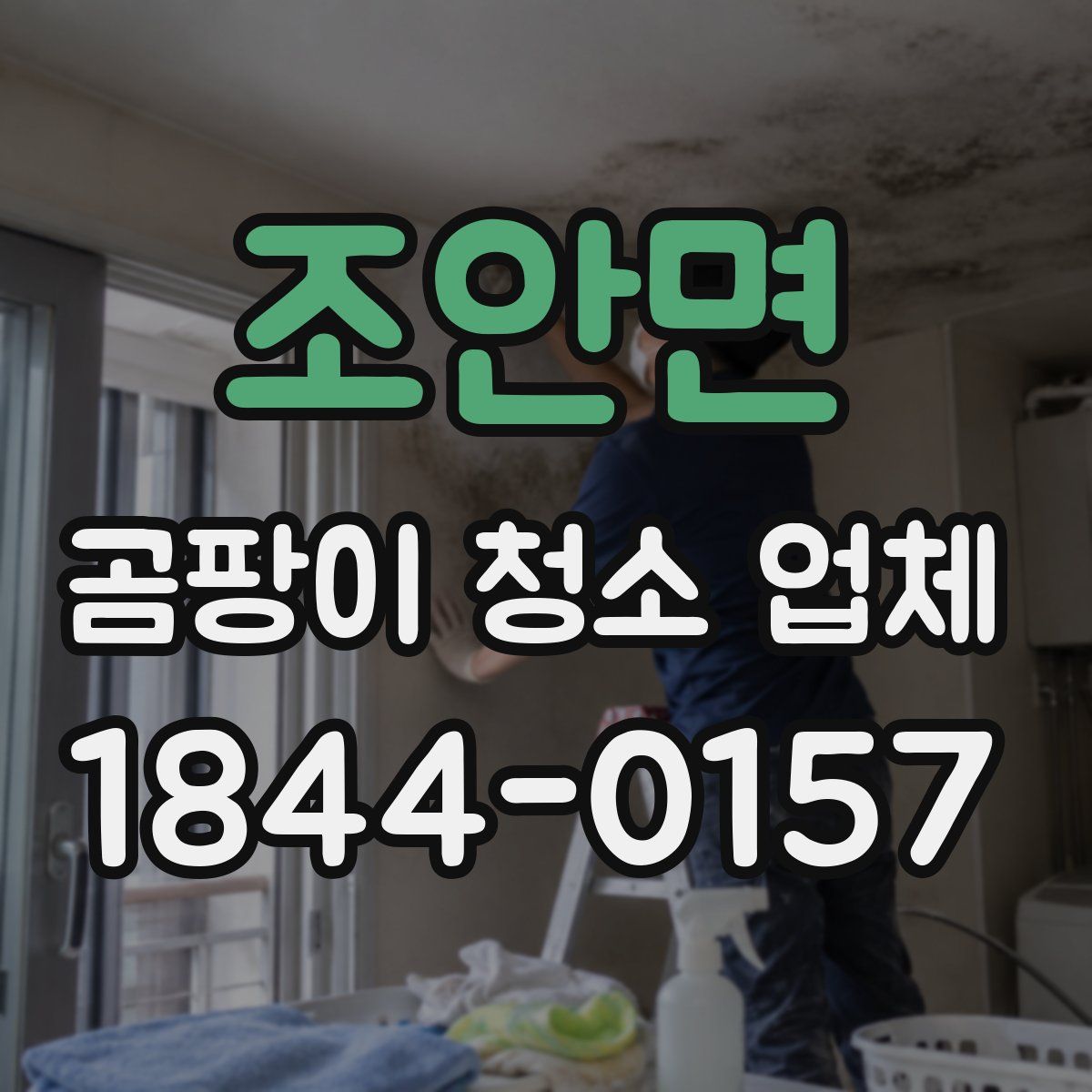조안면 곰팡이 청소 업체