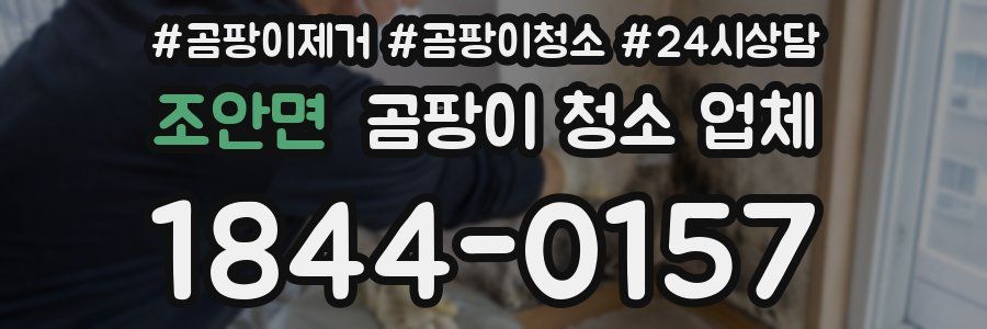조안면 곰팡이 청소 업체