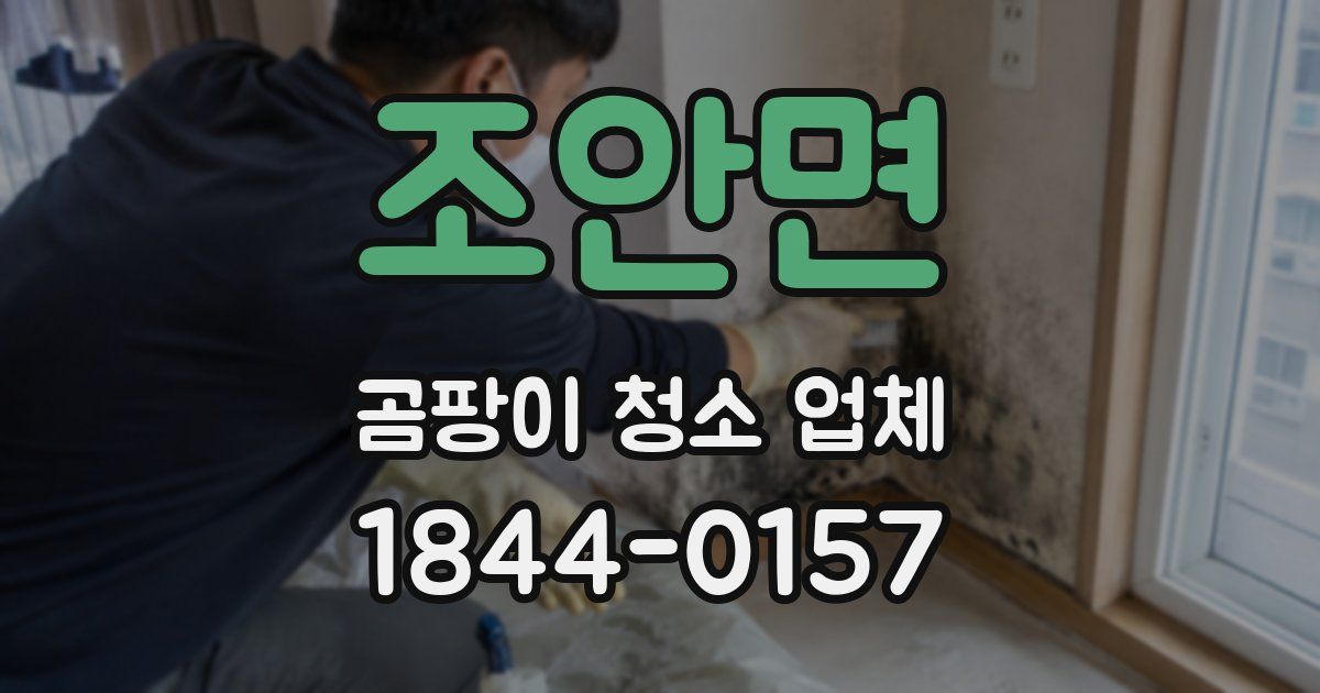 조안면 곰팡이 청소 업체