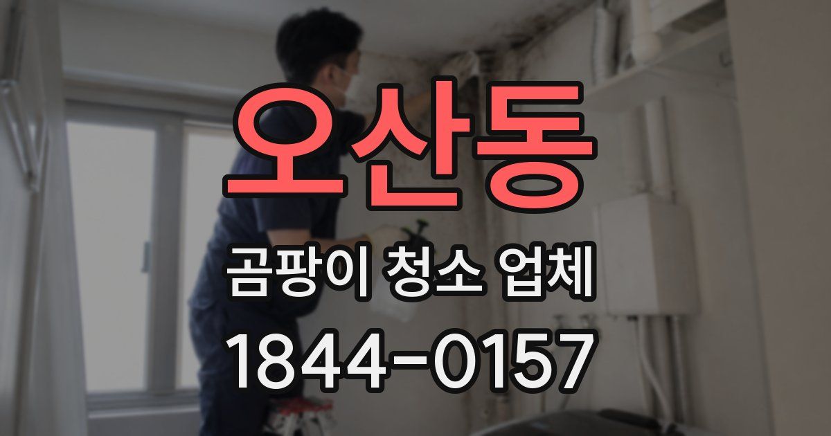 오산동 곰팡이 청소 업체