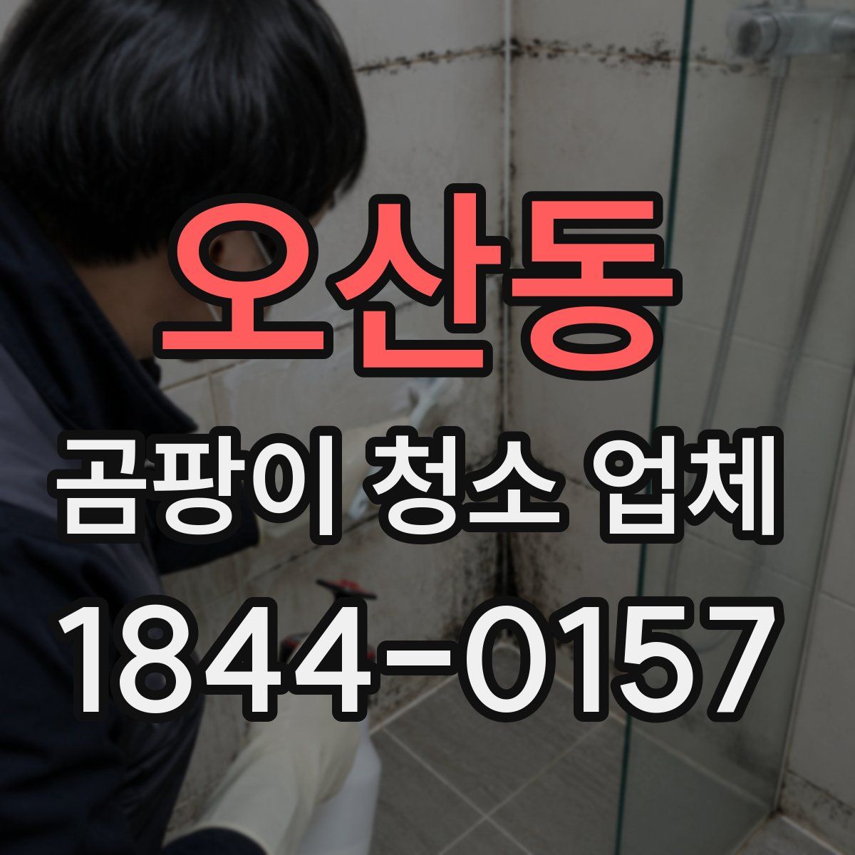 오산동 곰팡이 청소 업체