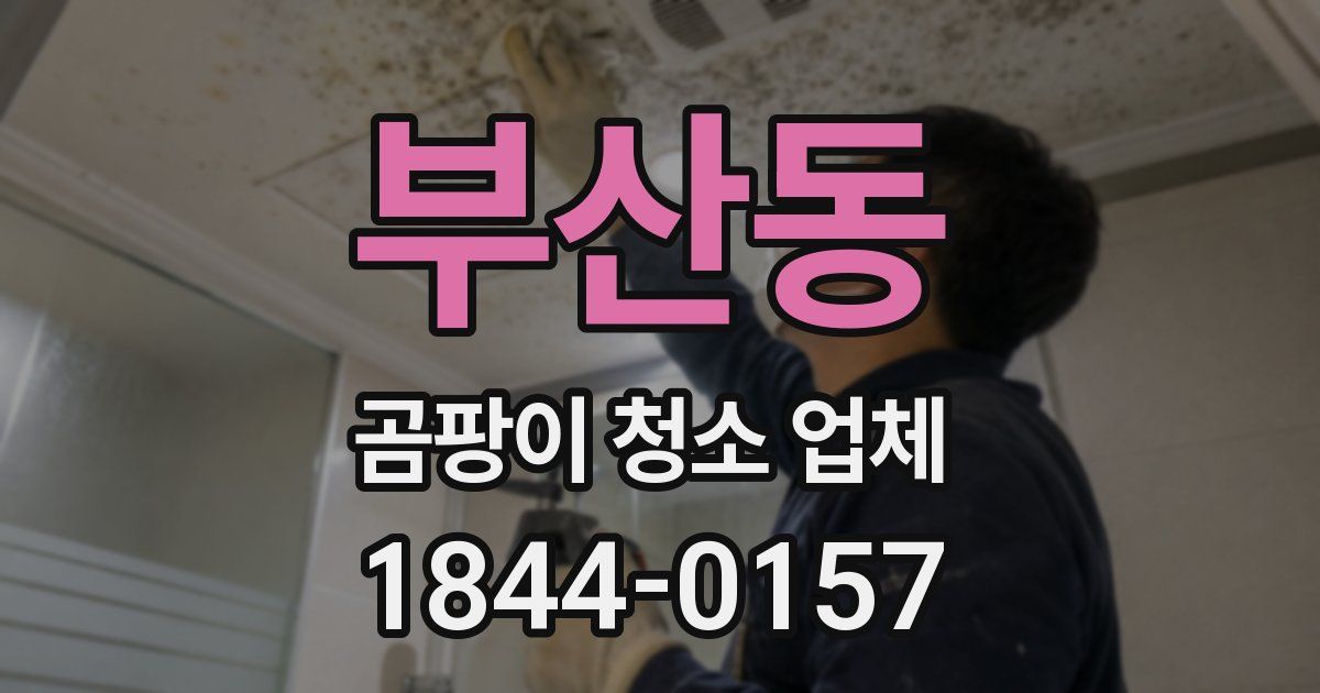 부산동 곰팡이 청소 업체