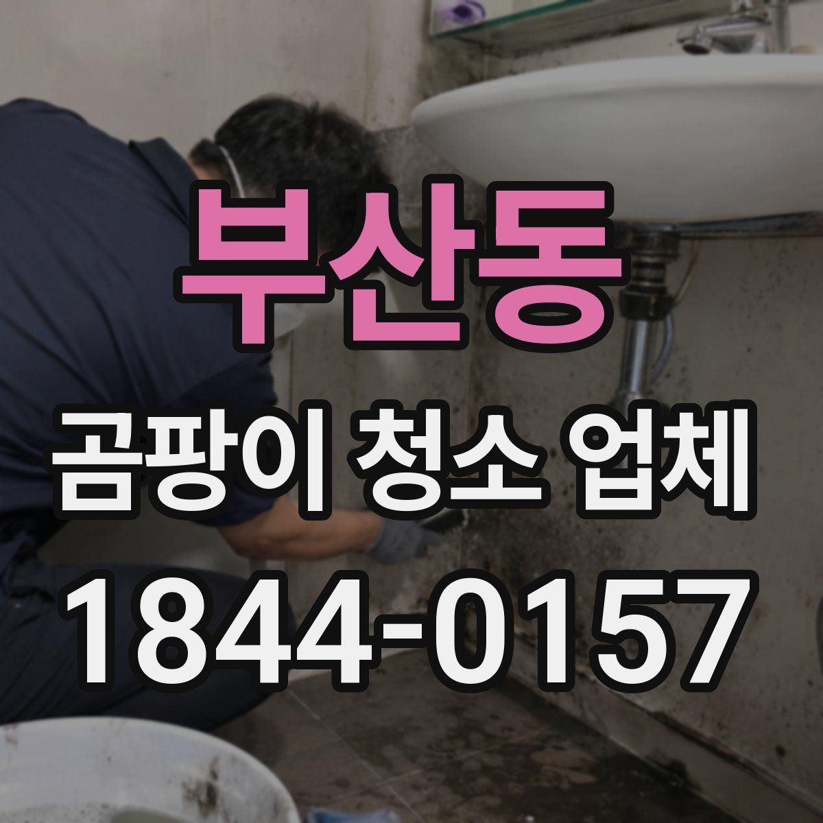 부산동 곰팡이 청소 업체