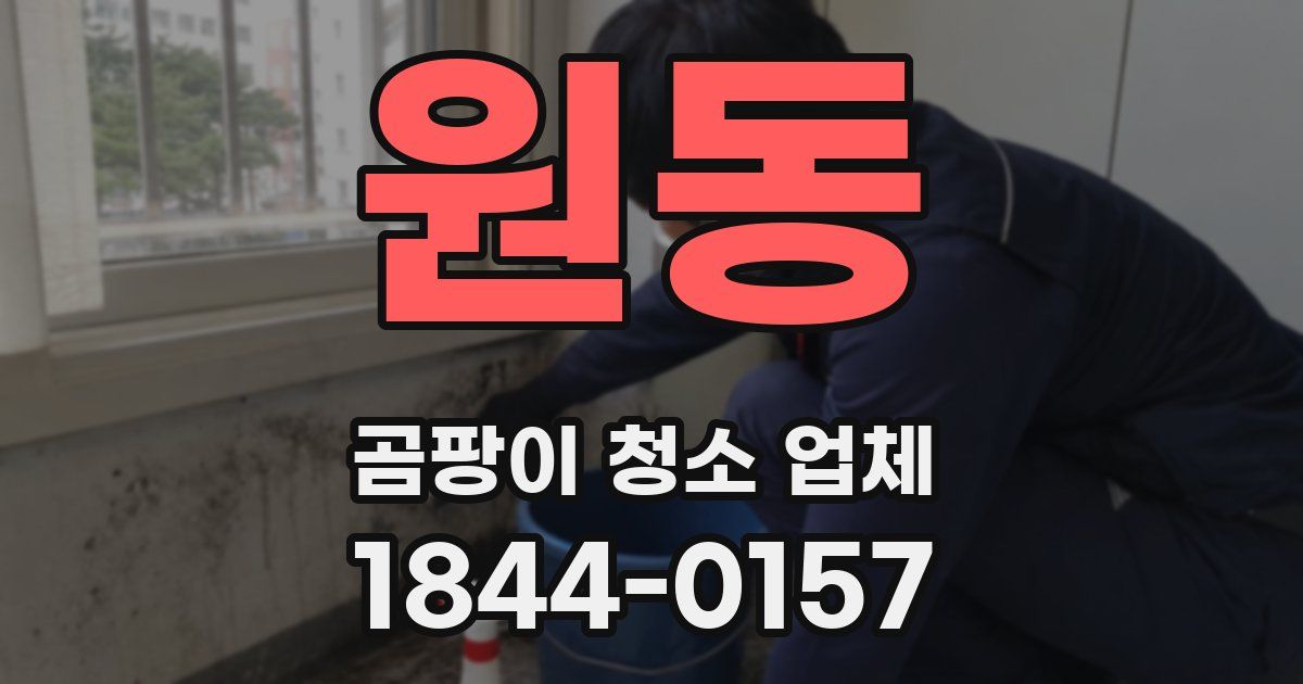 원동 곰팡이 청소 업체