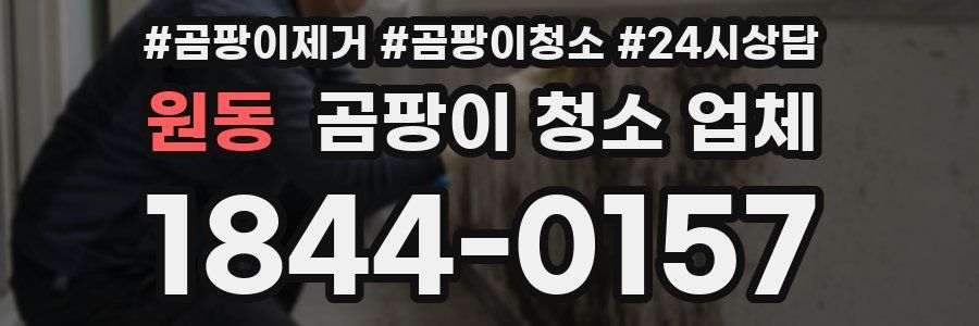 원동 곰팡이 청소 업체