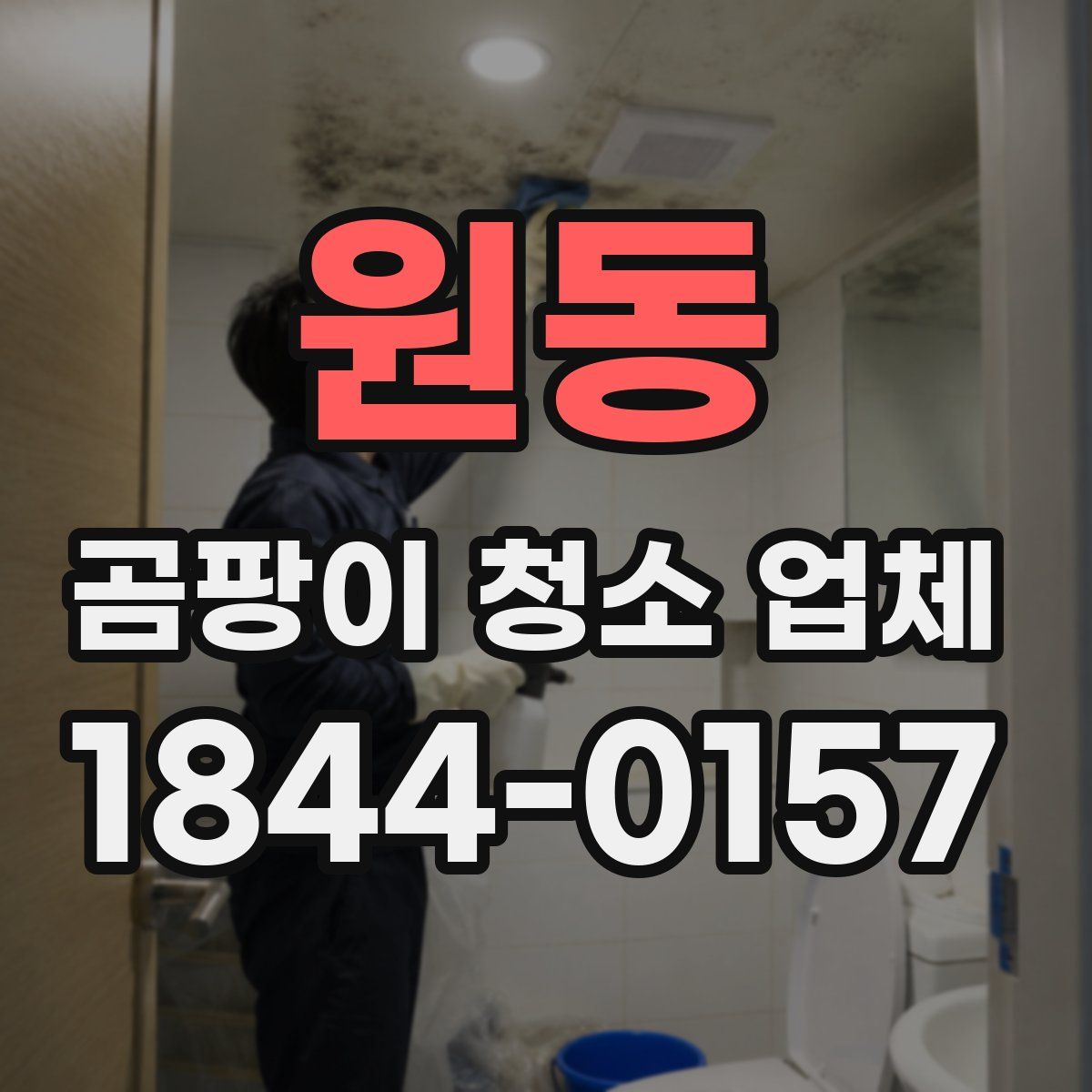 원동 곰팡이 청소 업체