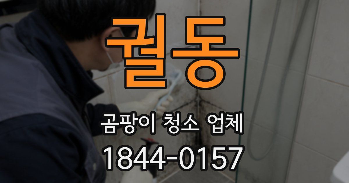 궐동 곰팡이 청소 업체