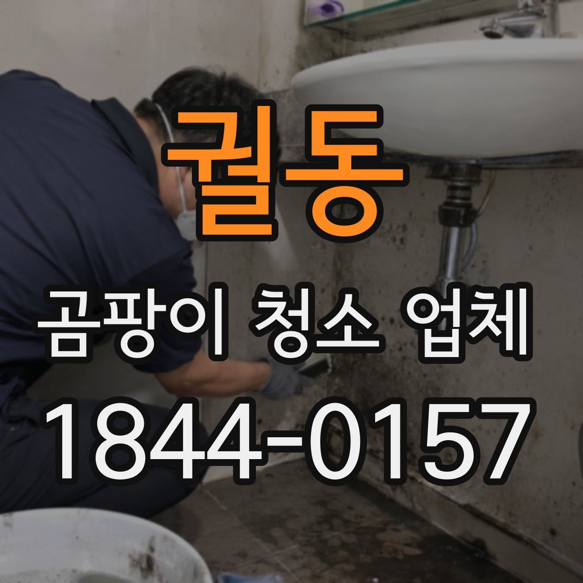 궐동 곰팡이 청소 업체