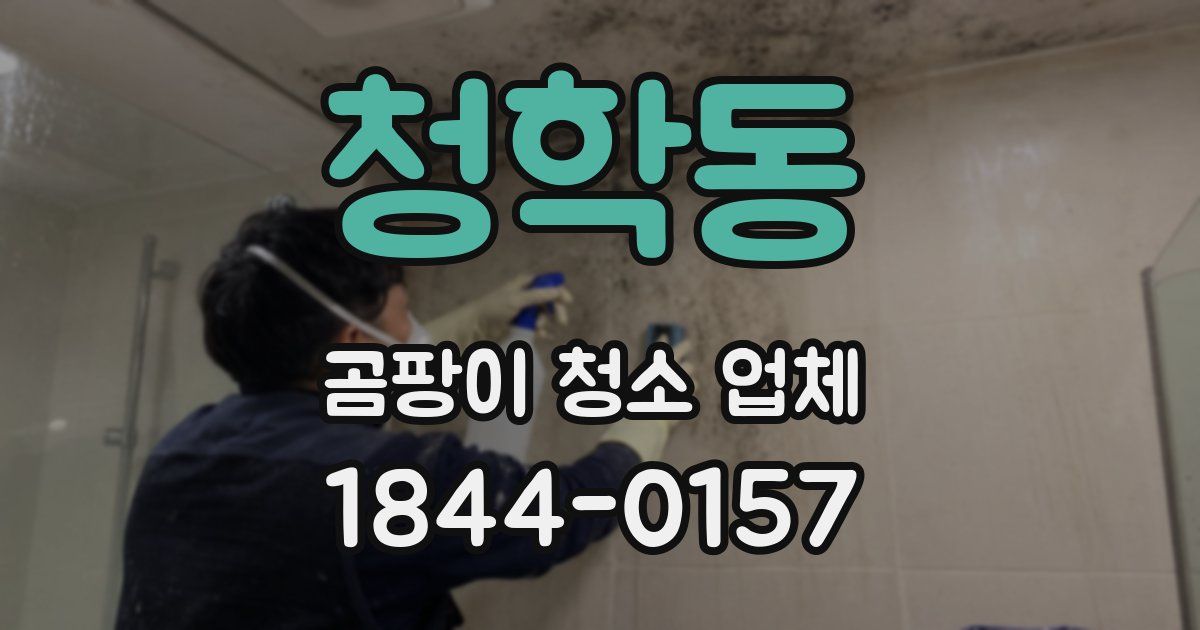 청학동 곰팡이 청소 업체