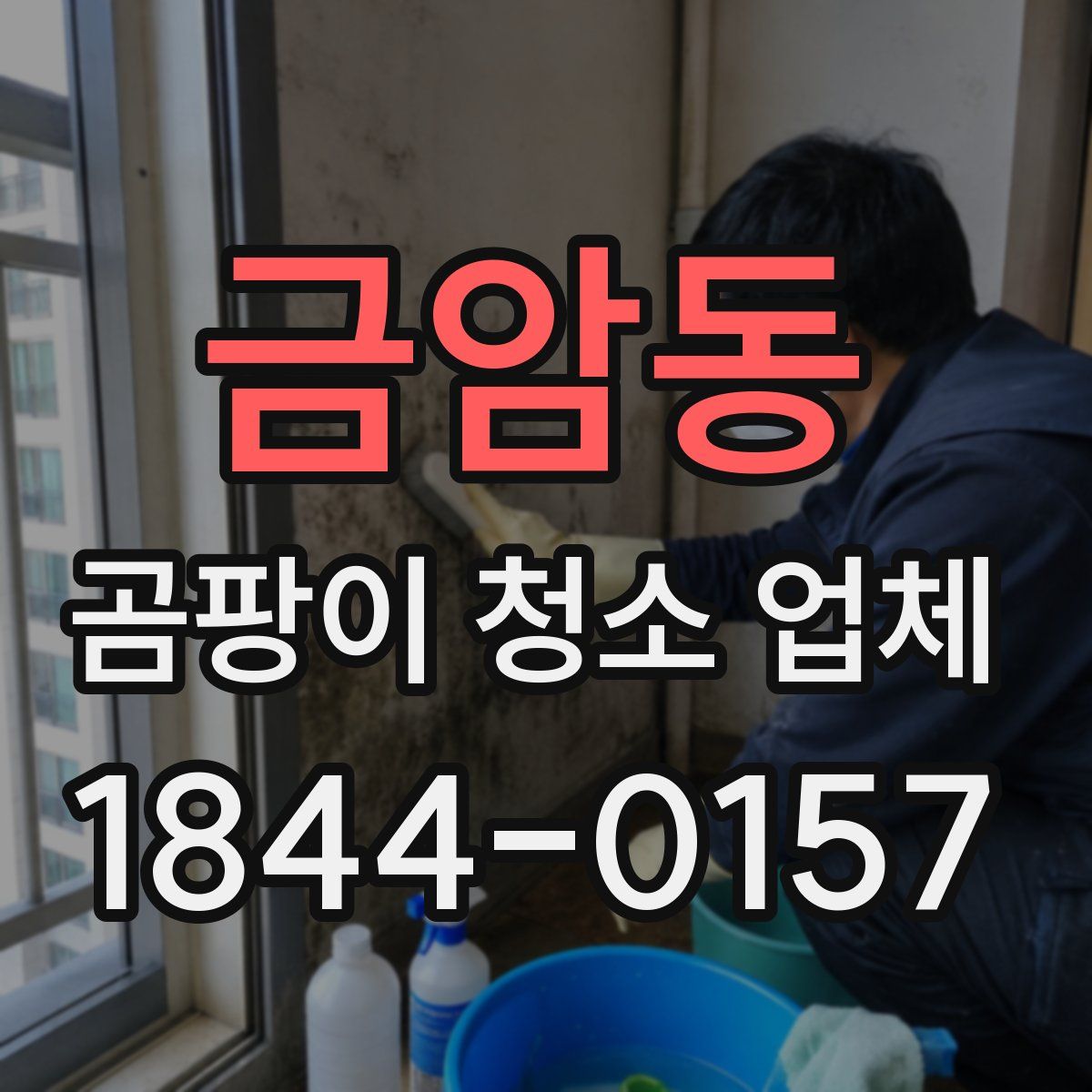 금암동 곰팡이 청소 업체