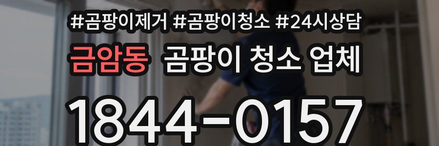 금암동 곰팡이 청소 업체