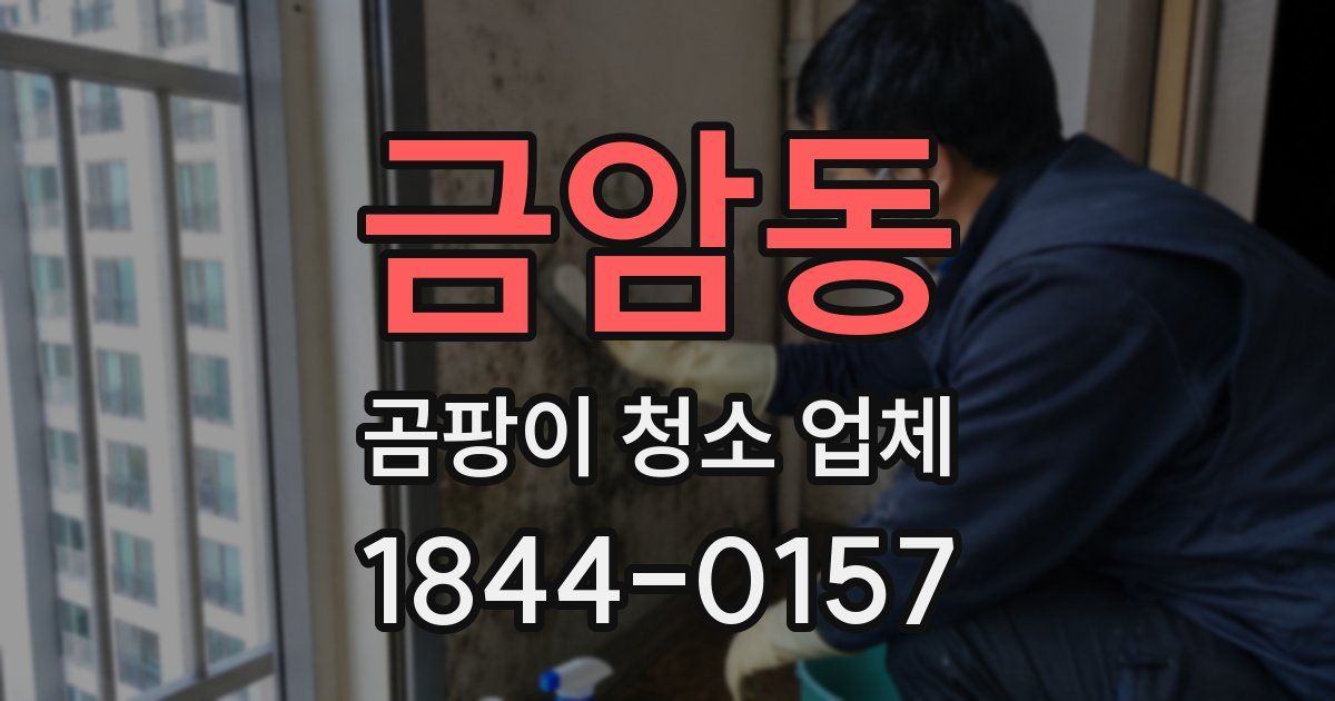 금암동 곰팡이 청소 업체