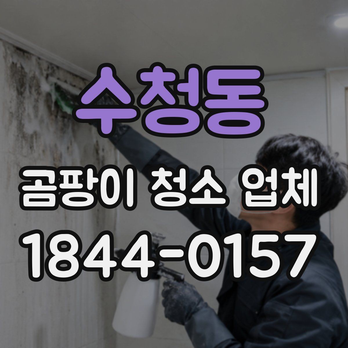 수청동 곰팡이 청소 업체 장판 아래 오염이 의심될 때 확인할 부분
