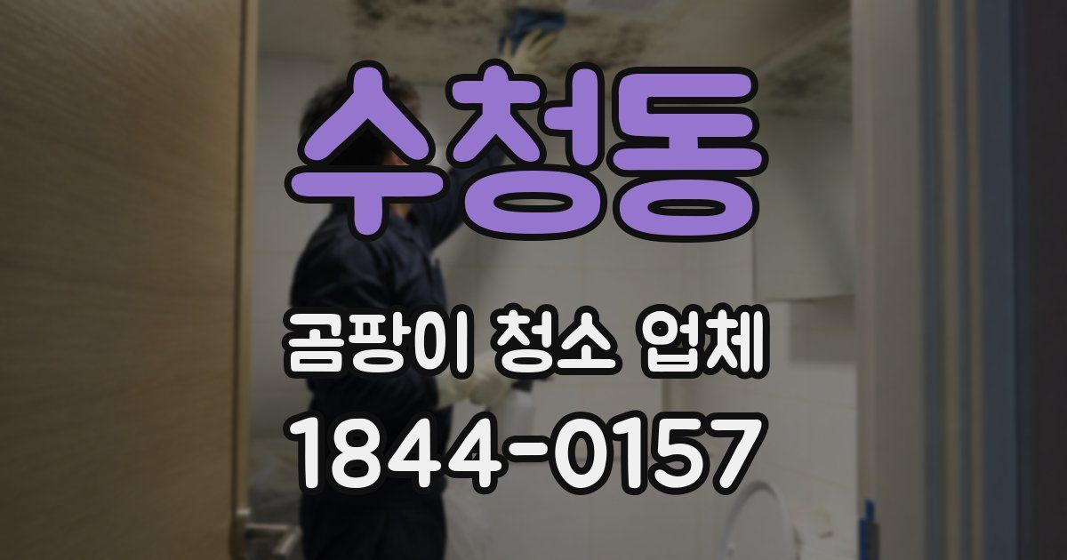 수청동 곰팡이 청소 업체