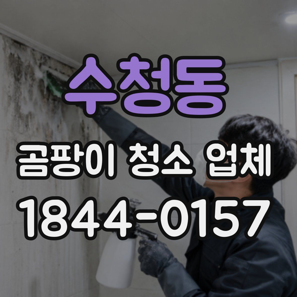 수청동 곰팡이 청소 업체