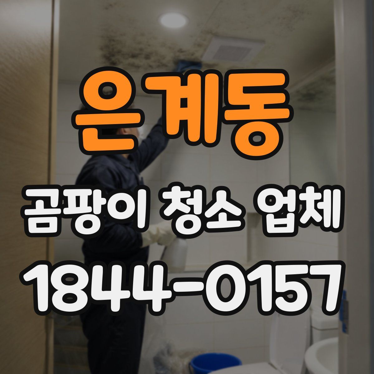 은계동 곰팡이 청소 업체
