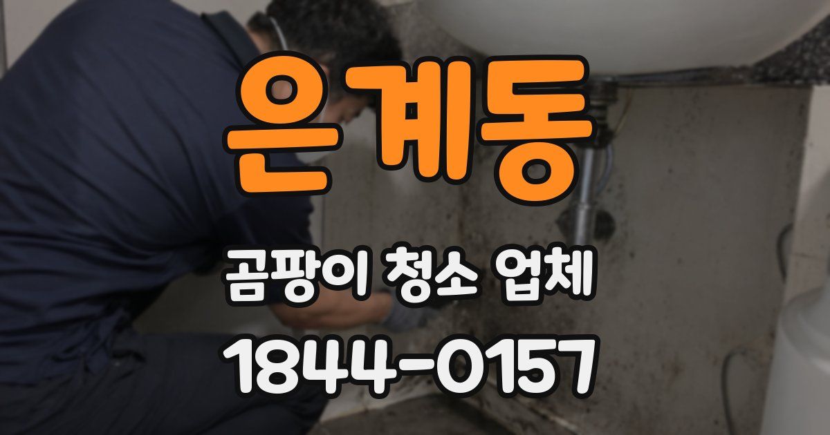 은계동 곰팡이 청소 업체