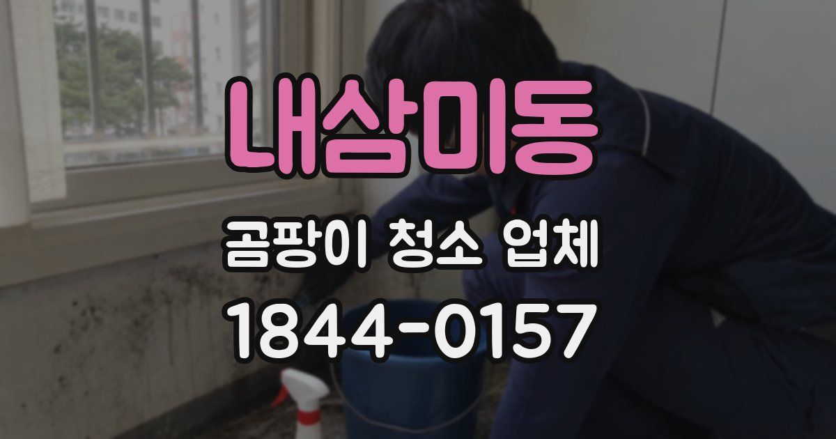 내삼미동 곰팡이 청소 업체