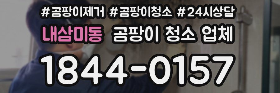 내삼미동 곰팡이 청소 업체