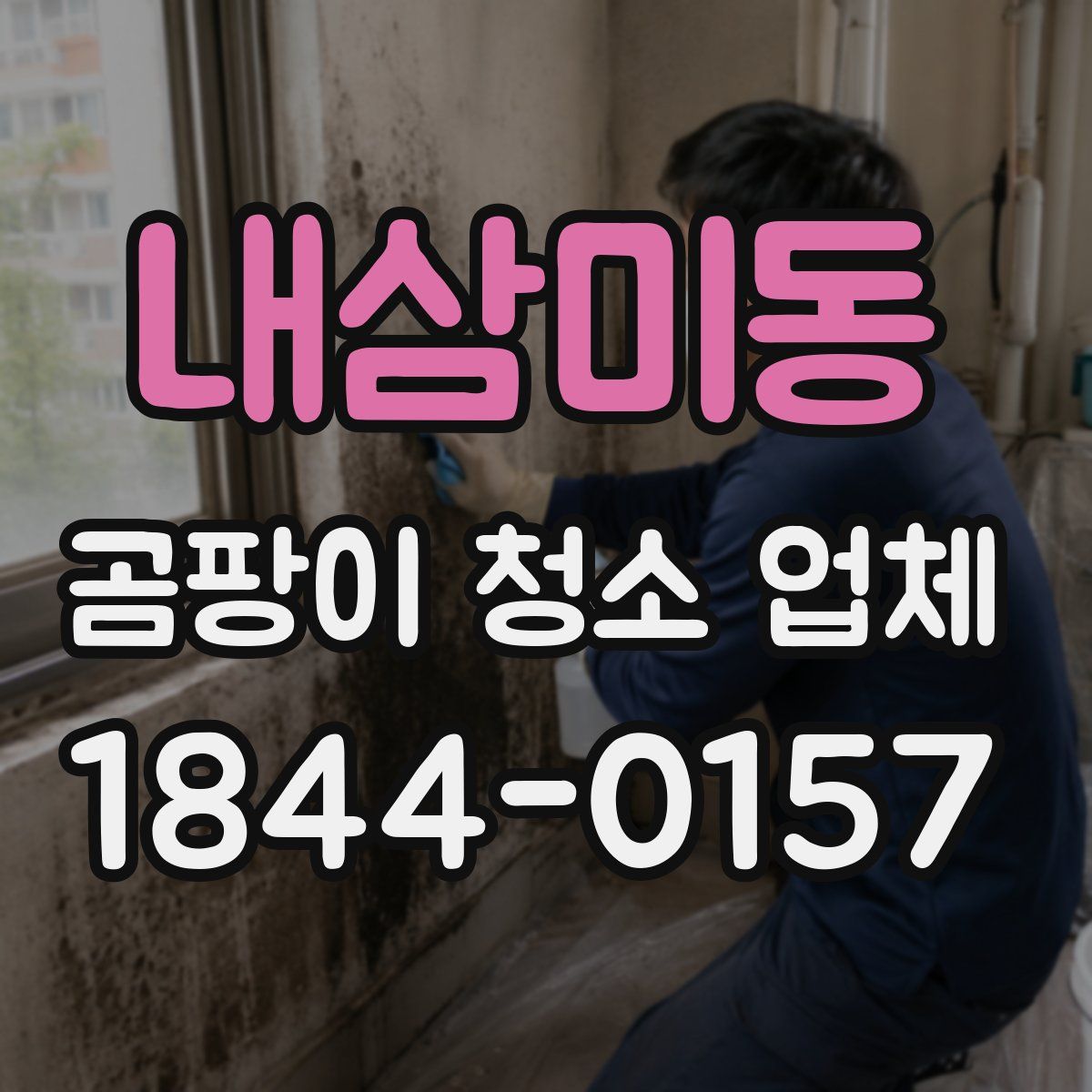 내삼미동 곰팡이 청소 업체