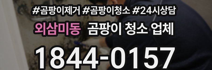 외삼미동 곰팡이 청소 업체