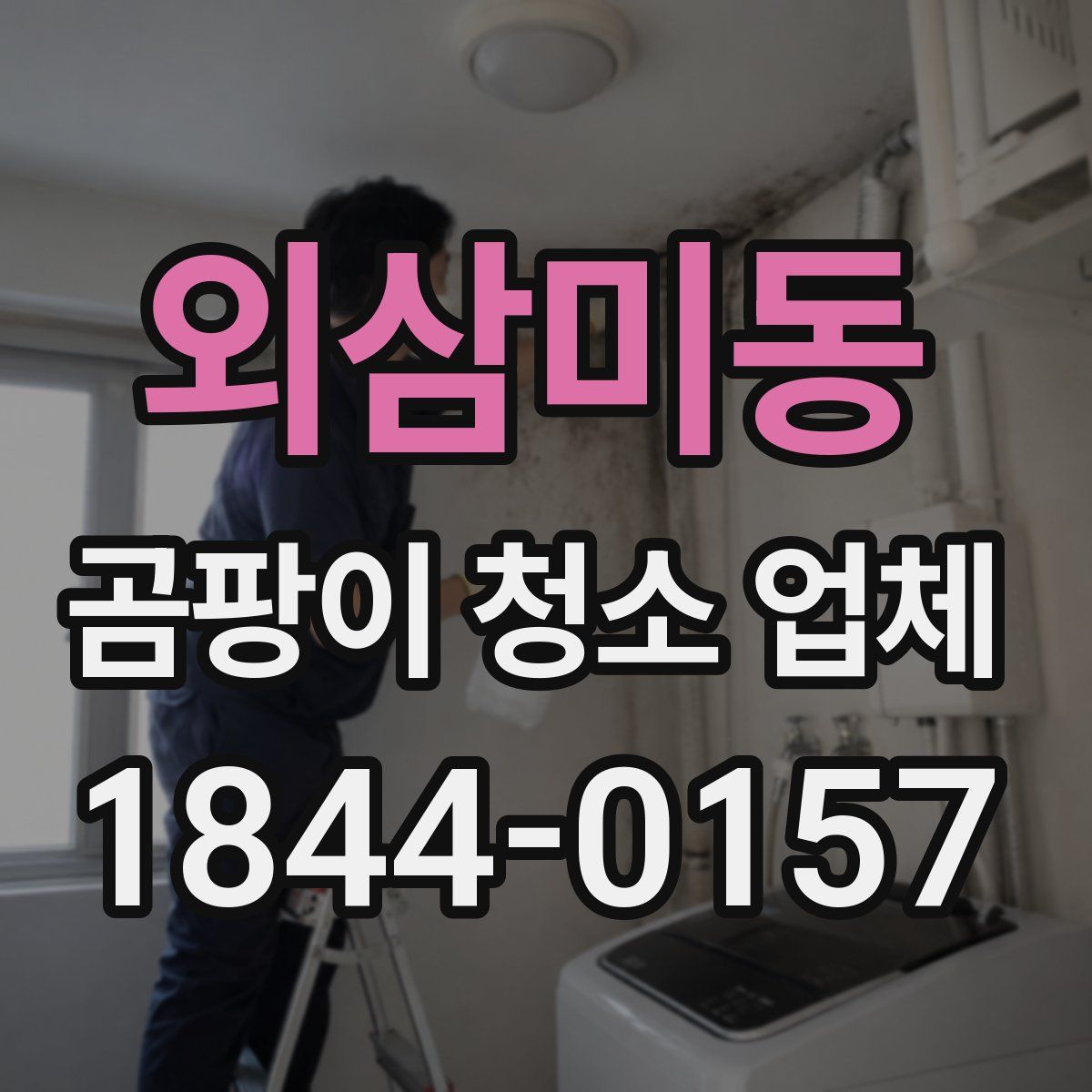 외삼미동 곰팡이 청소 업체